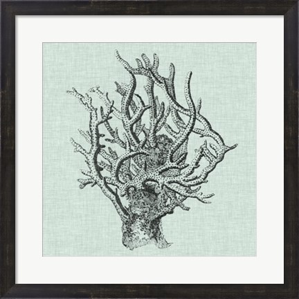 Framed Serene Coral II Print