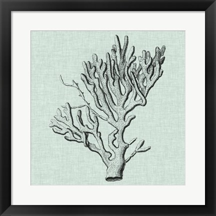 Framed Serene Coral III Print