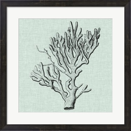 Framed Serene Coral III Print