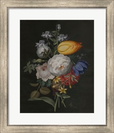 Framed Dramatic Bouquet III Print