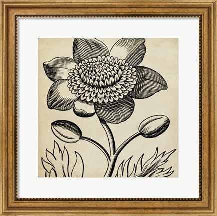 Framed Graphic Floral III Print