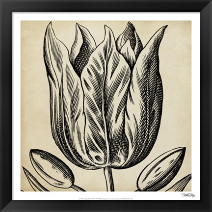 Framed Graphic Floral VIII Print