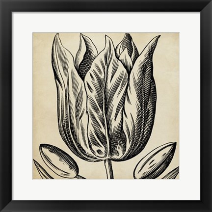 Framed Graphic Floral VIII Print