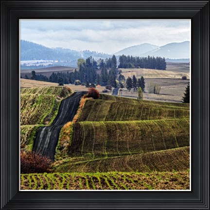 Framed Palouse Hills Print