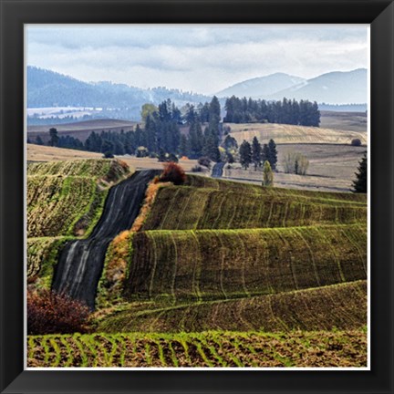 Framed Palouse Hills Print