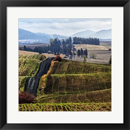 Framed Palouse Hills Print