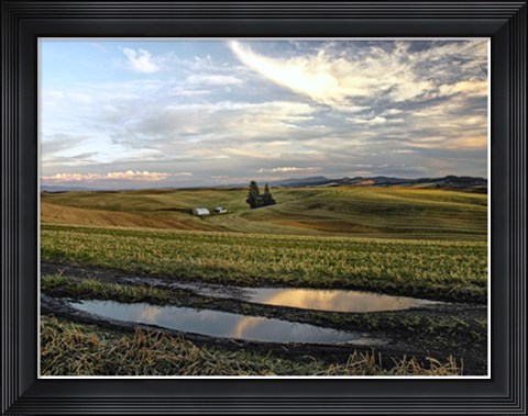 Framed Reflections Print