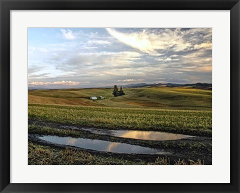 Framed Reflections Print