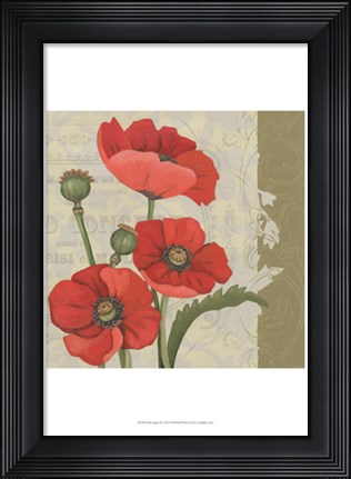 Framed Paris Poppy II Print