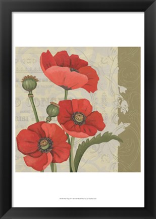 Framed Paris Poppy II Print