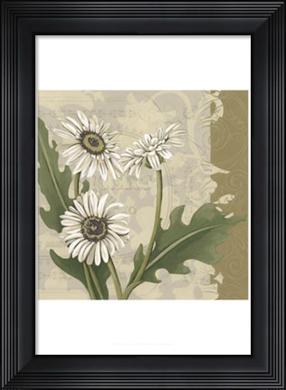 Framed Paris Daisy II Print