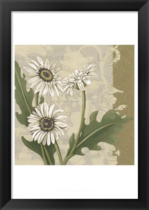 Framed Paris Daisy II Print