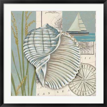 Framed Seaside Shell I Print