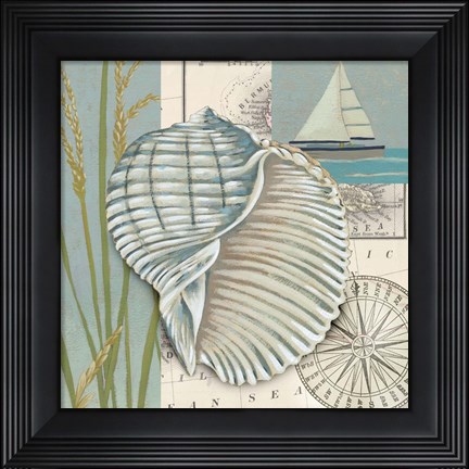 Framed Seaside Shell I Print