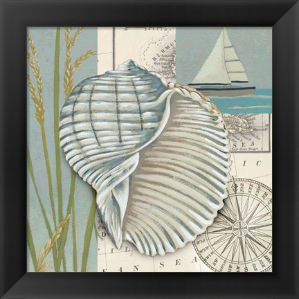 Framed Seaside Shell I Print