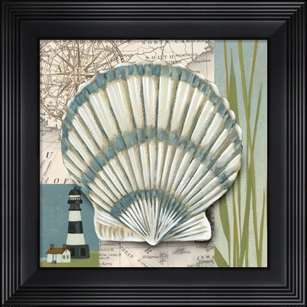 Framed Seaside Shell II Print
