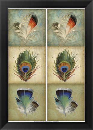 Framed 2-Up Feather Triptych I Print
