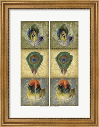 Framed 2-Up Feather Triptych II Print