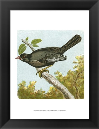 Framed Mini Vintage Birds IV Print