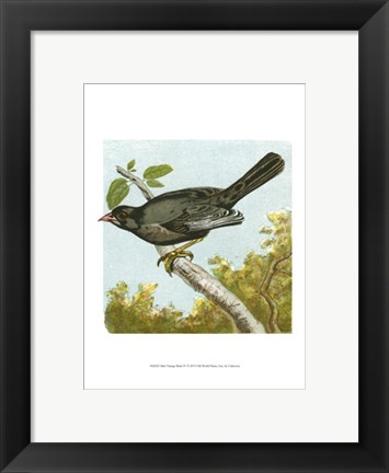 Framed Mini Vintage Birds IV Print