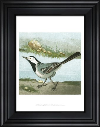 Framed Mini Vintage Birds VI Print