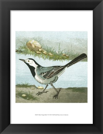 Framed Mini Vintage Birds VI Print