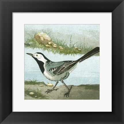 Framed Mini Vintage Birds VI Print