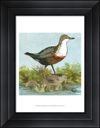 Framed Mini Vintage Birds VII Print