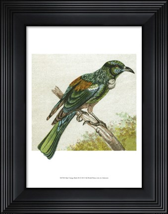 Framed Mini Vintage Birds IX Print