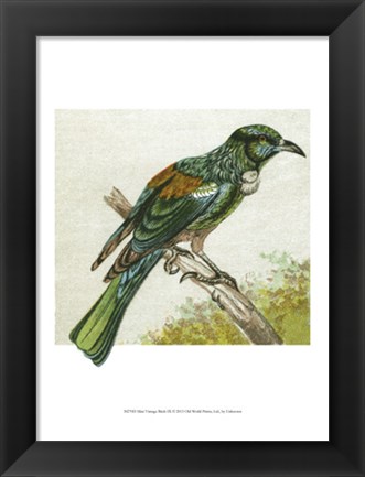 Framed Mini Vintage Birds IX Print