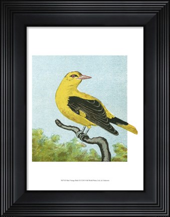 Framed Mini Vintage Birds X Print