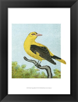 Framed Mini Vintage Birds X Print