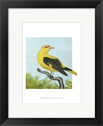 Framed Mini Vintage Birds X Print