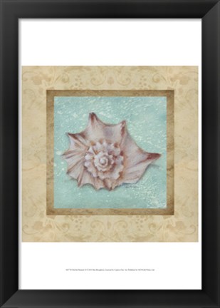 Framed Shell &amp; Damask II Print