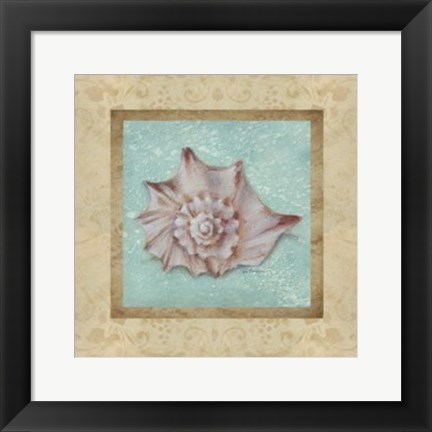 Framed Shell &amp; Damask II Print