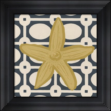 Framed Marine Medley III Print
