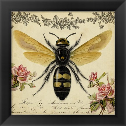 Framed From the Rose Garden I Print