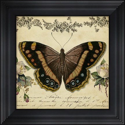Framed From the Rose Garden II Print