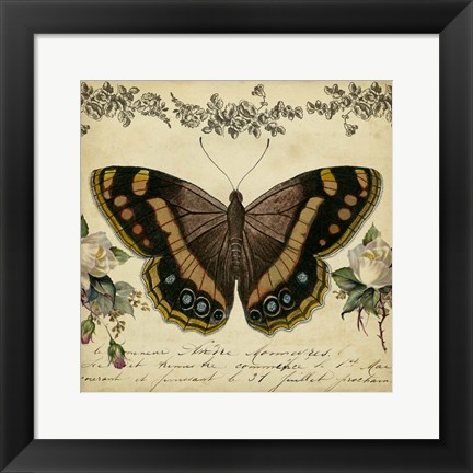 Framed From the Rose Garden II Print