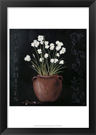 Framed Paper Whites Print