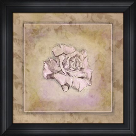Framed Rose Square I Print