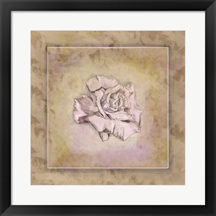 Framed Rose Square I Print