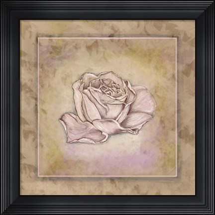 Framed Rose Square III Print