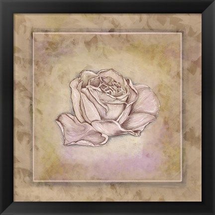 Framed Rose Square III Print