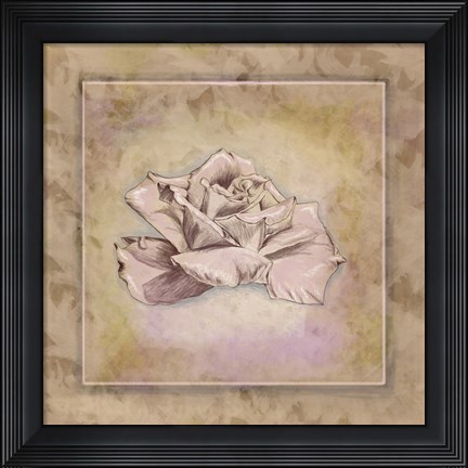 Framed Rose Square II Print