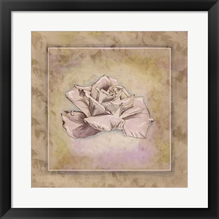 Framed Rose Square II Print