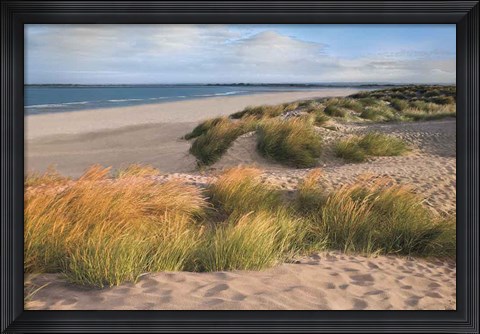Framed Sandy Shores Print