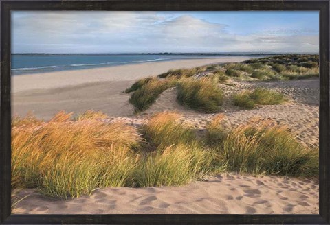 Framed Sandy Shores Print