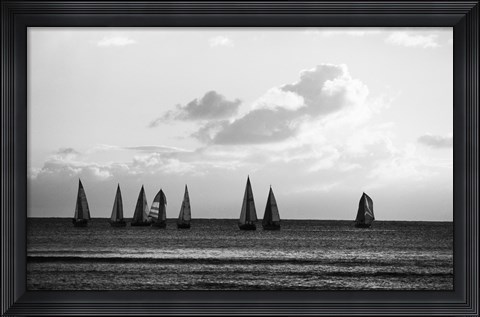 Framed Group of Sailboats Sailing in the Sea Print