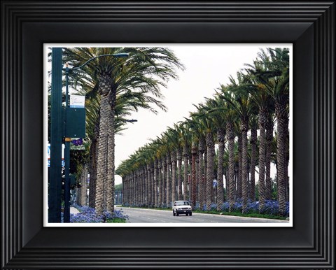 Framed Anaheim, CA Print